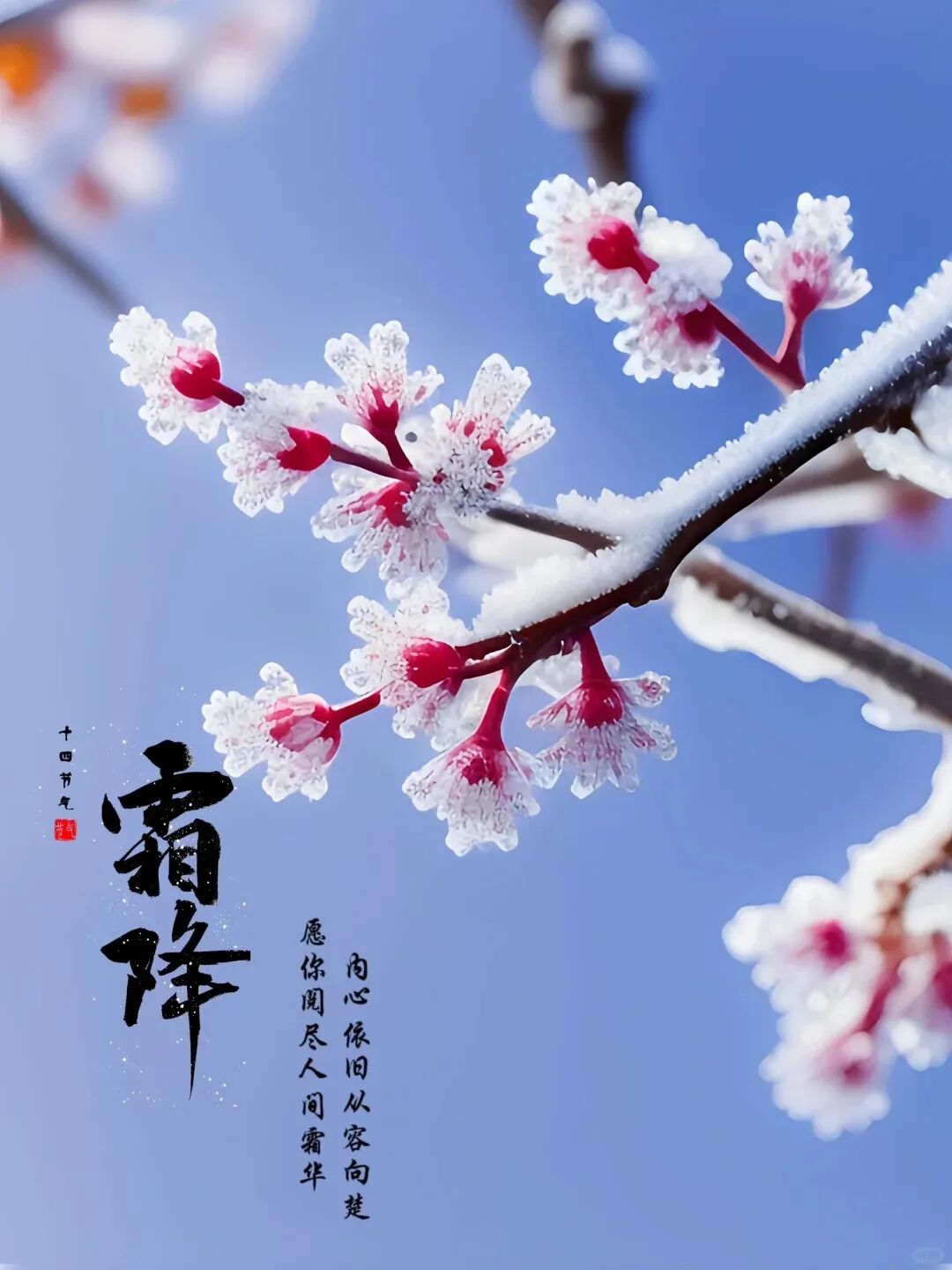 霜降
