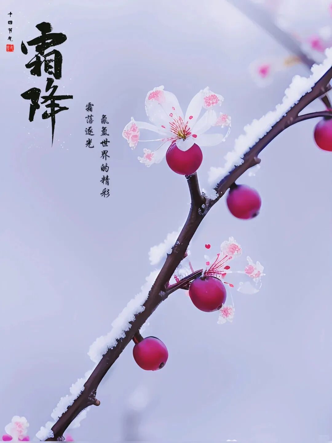 霜降