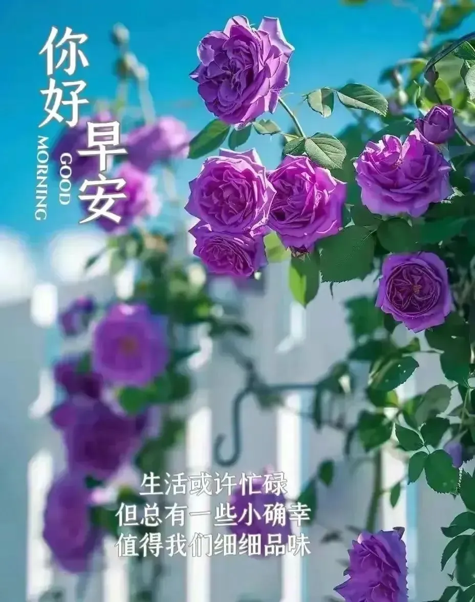 早安,早上好,上午好
