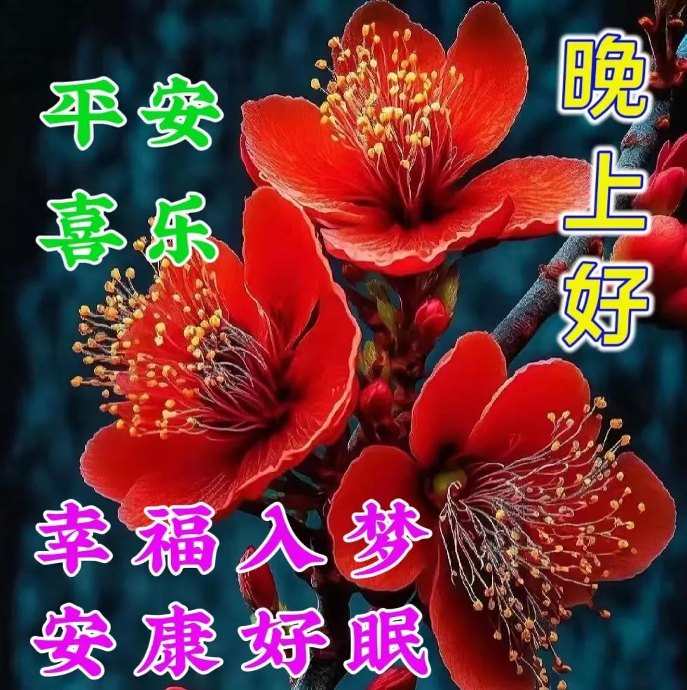 晚上好,晚安