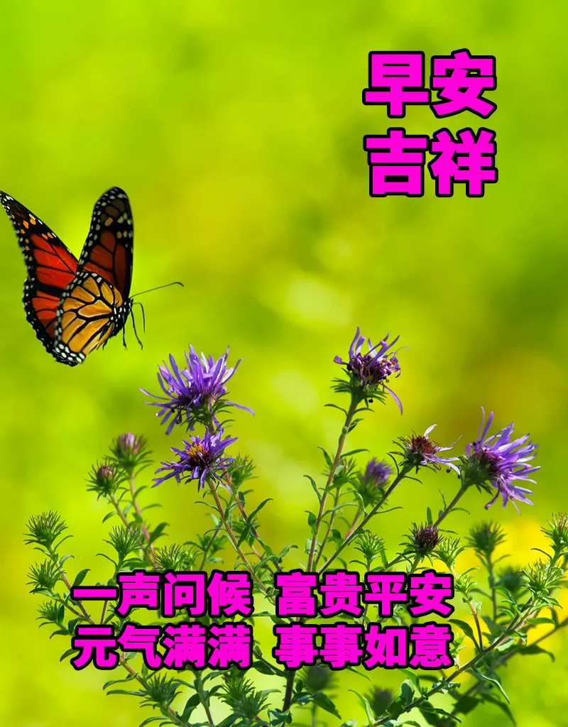 早安,早上好,上午好