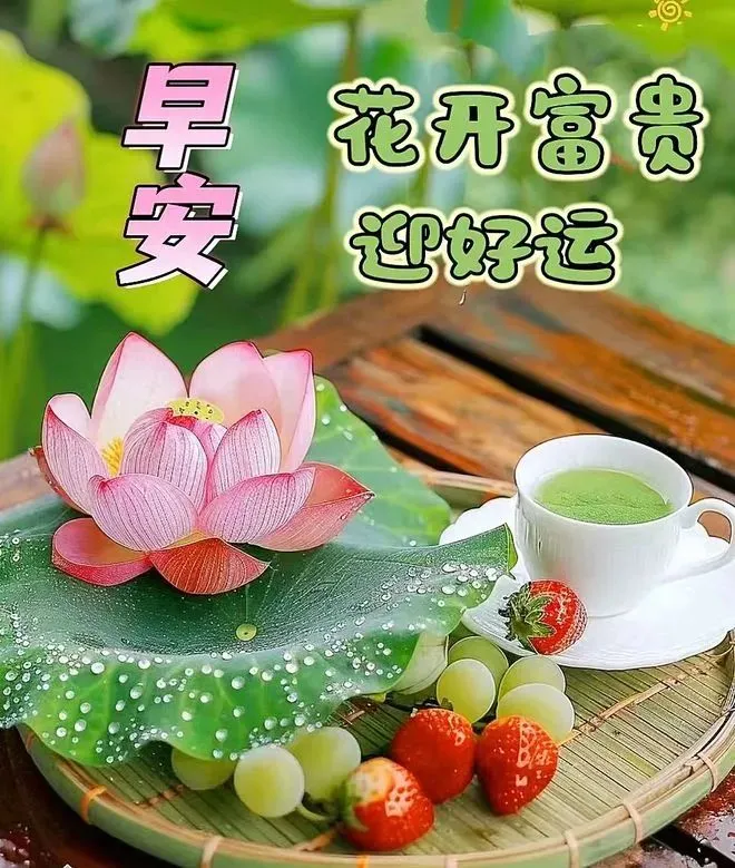 早安,早上好,上午好
