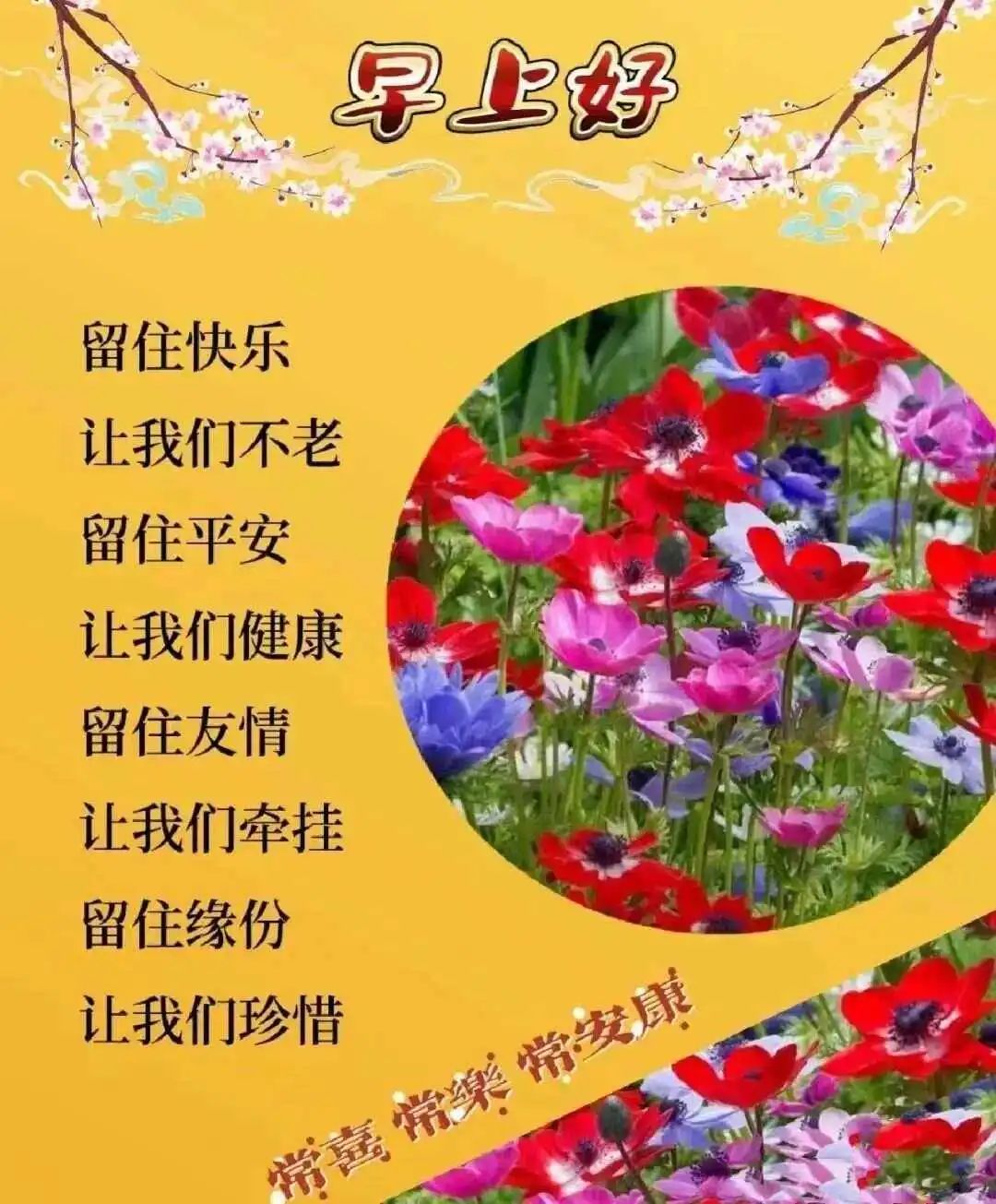 早安,早上好,上午好