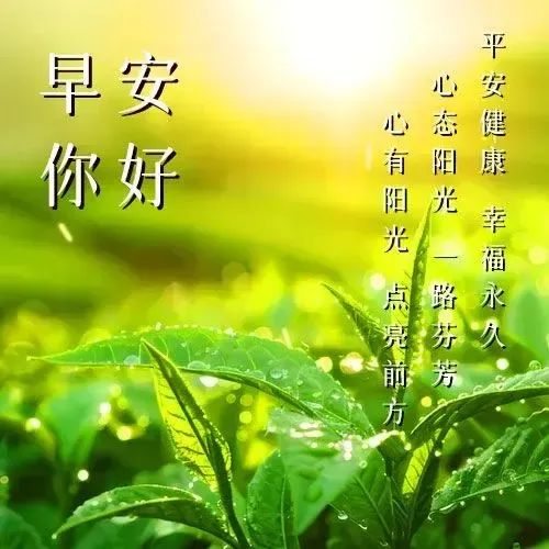 早安,早上好,上午好