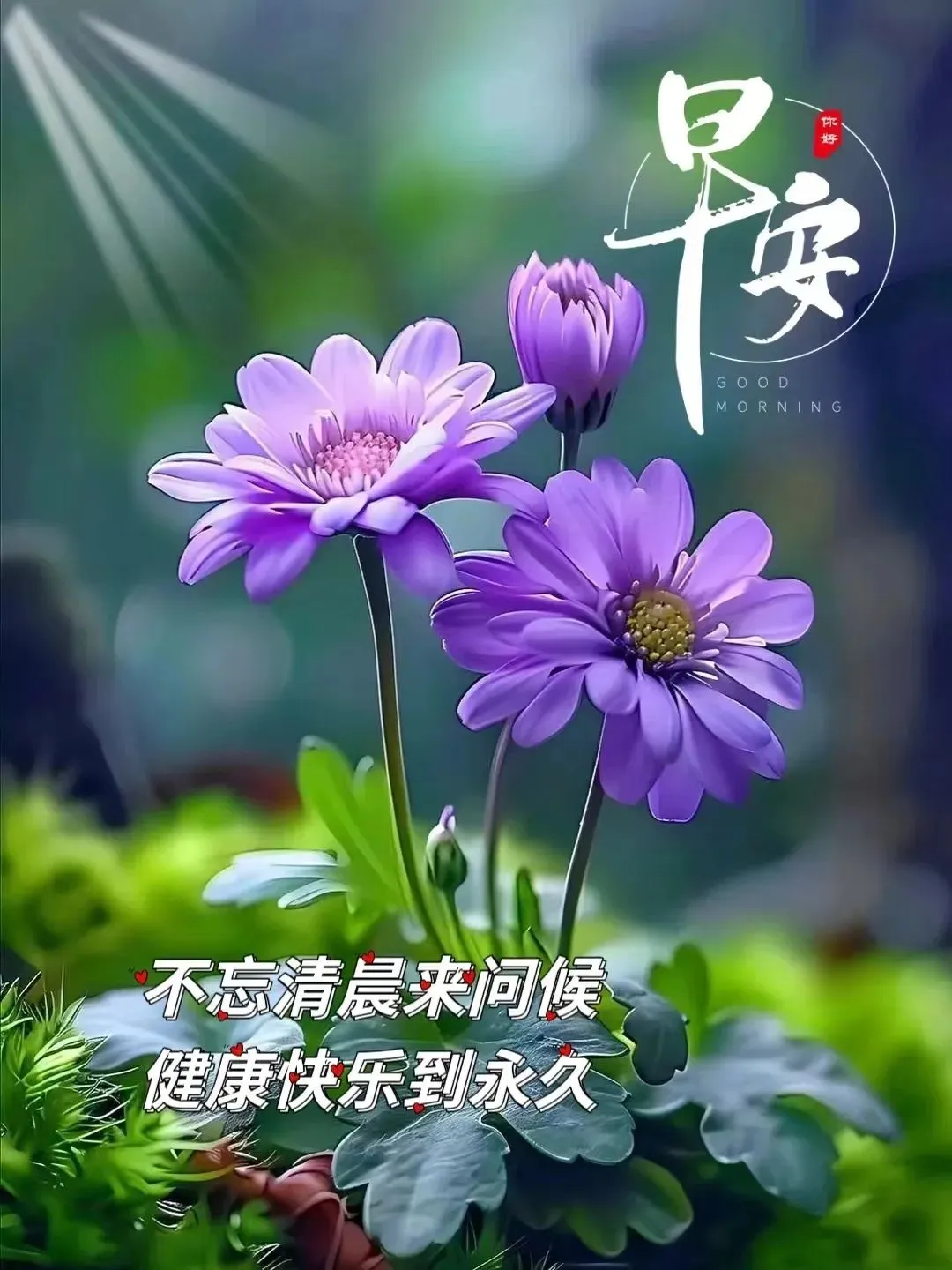 早安,早上好,上午好