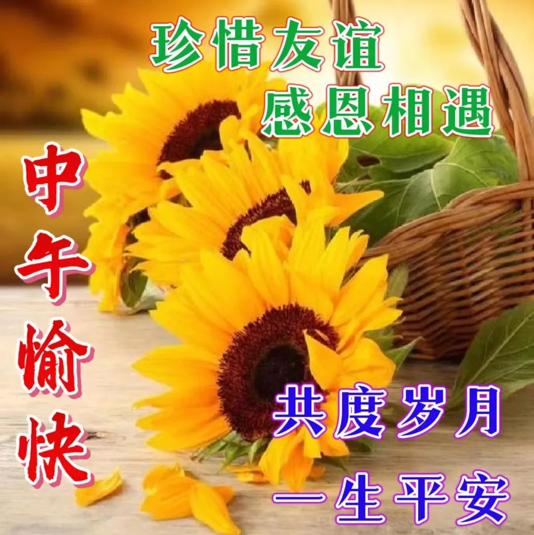 中午好,午安
