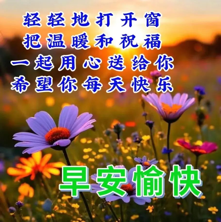 早安,早上好,上午好