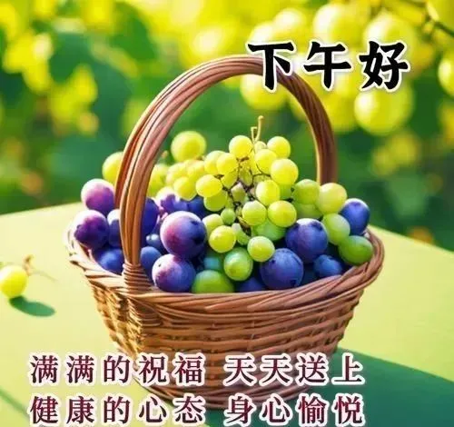 下午好