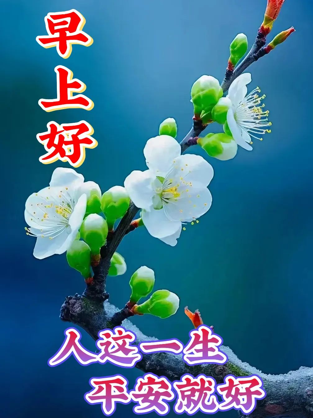 早安,早上好,上午好