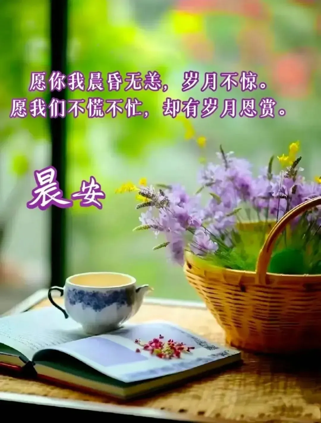 早安,早上好