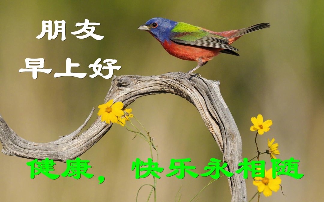 早安,早上好,上午好