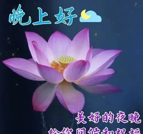晚上好,晚安