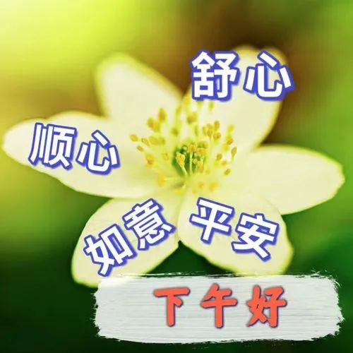 下午好