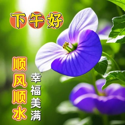 下午好