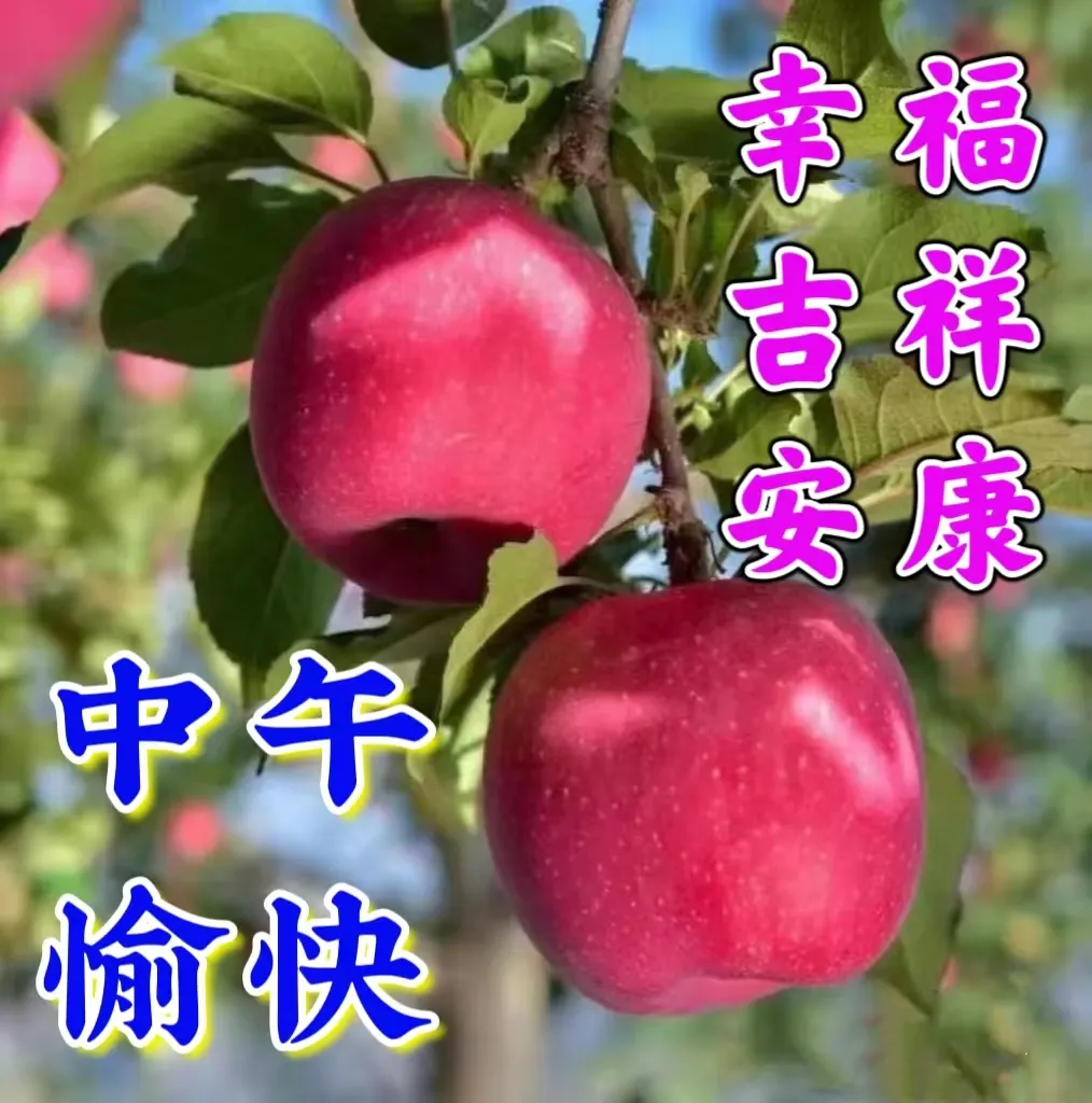 中午好,午安