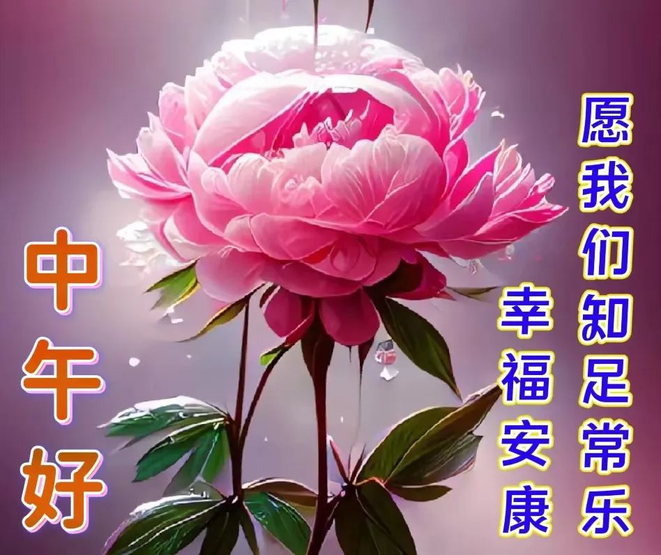 中午好,午安