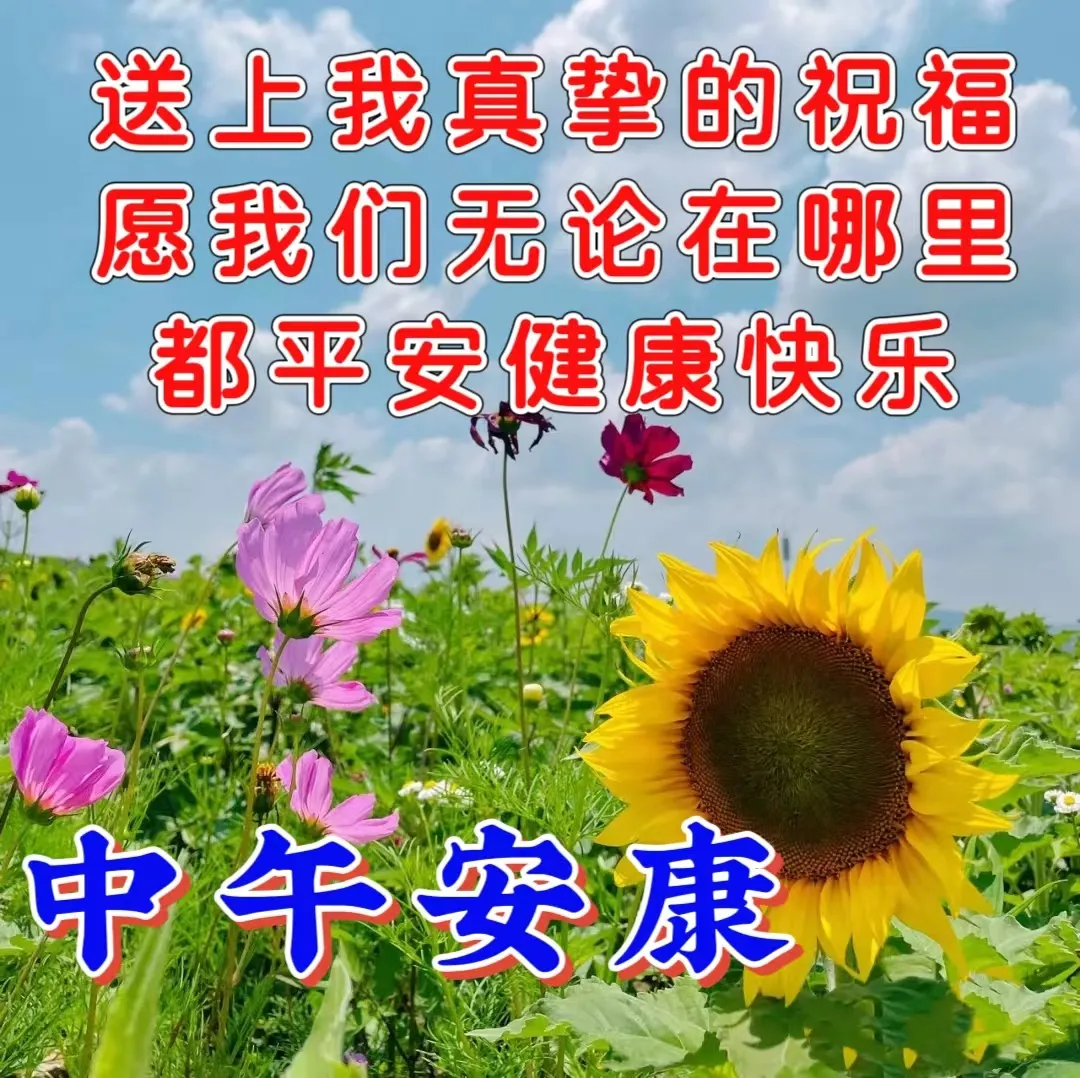中午好,午安