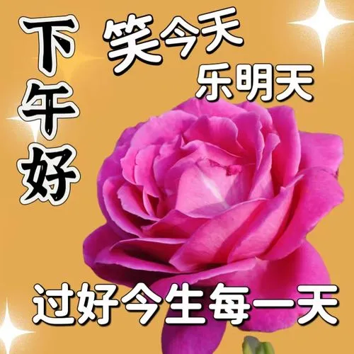 下午好