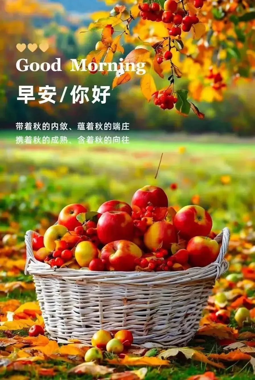 5月20日早上好问候语，简短温馨，祝福你快乐幸福！