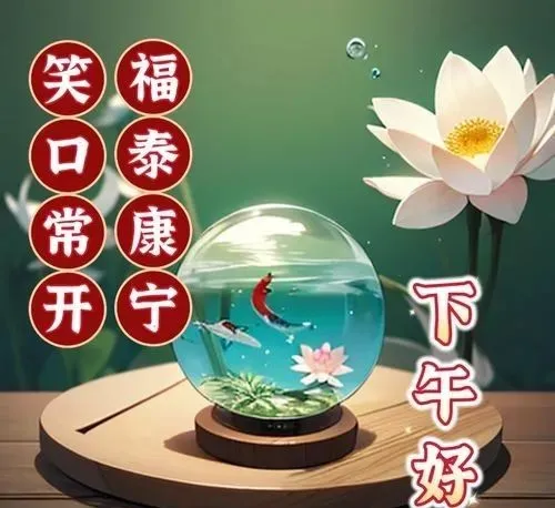 下午好
