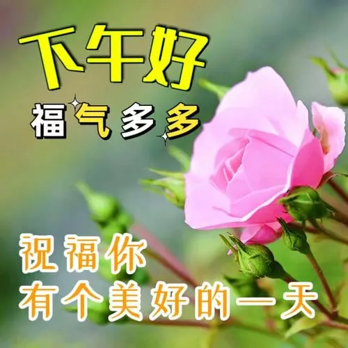下午好