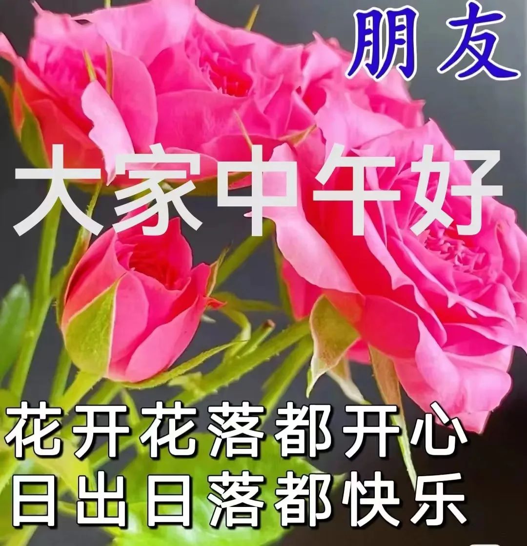中午好,午安