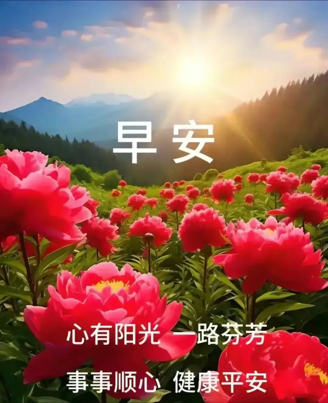 『周日早安』今日最新早上好问候语精选大全,开心送祝福,相互牵挂暖心间