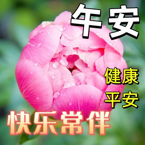 中午好,午安