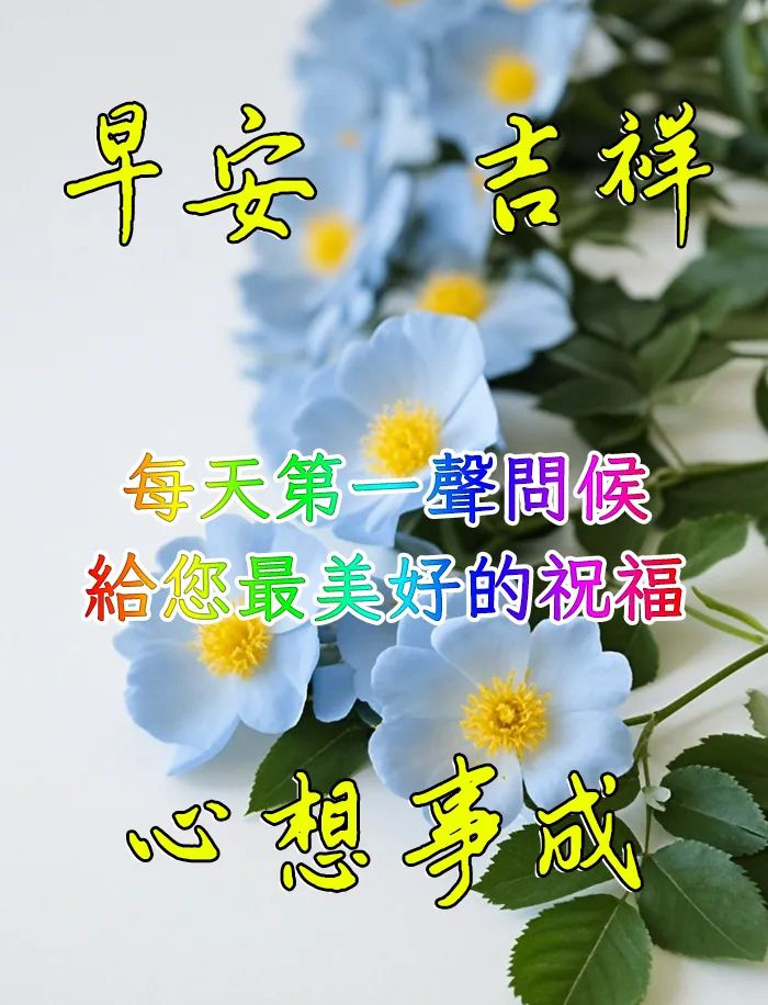 早安,早上好,上午好