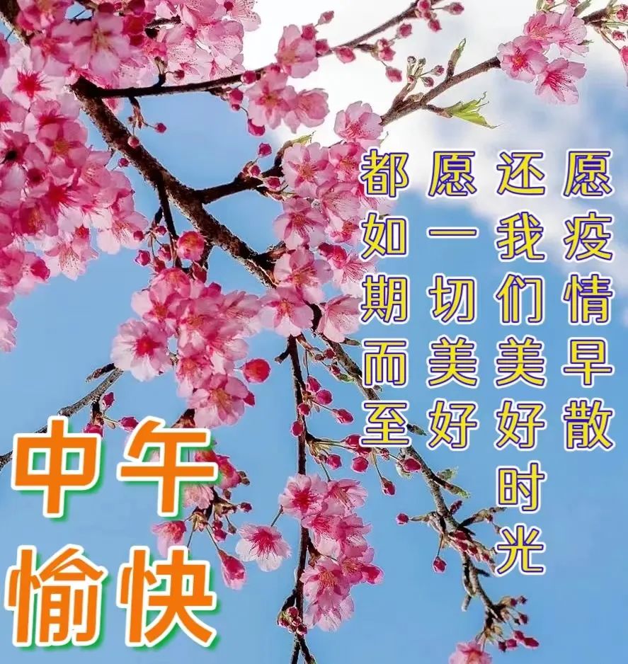 漂亮的中午好图片,愿你快乐美满,午安事事顺意。中午好!