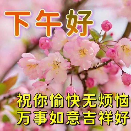 下午好