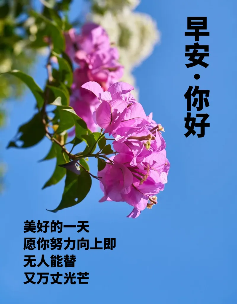 早安,早上好,上午好
