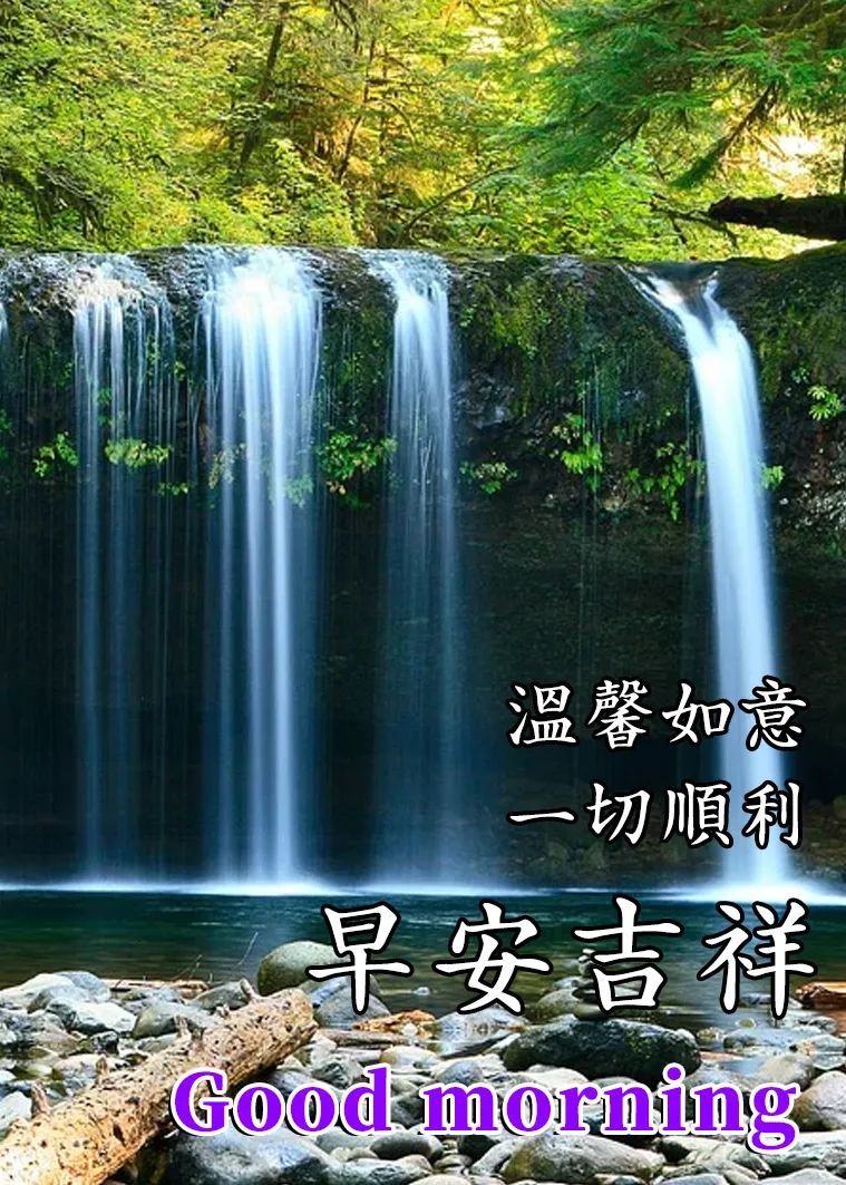 今天特新上午好问候语,看开,看淡,心中自有一片花海。上午好