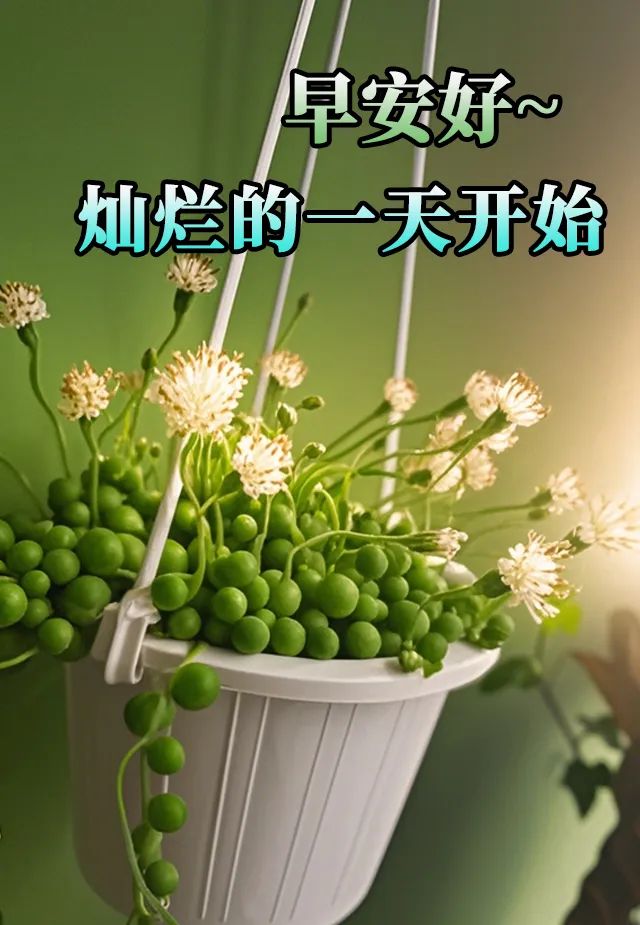早安,早上好,上午好