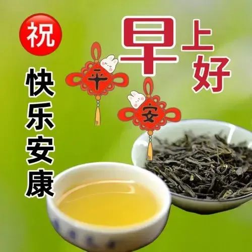 早安,早上好,上午好