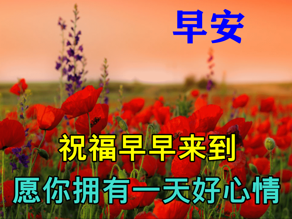 早安,早上好