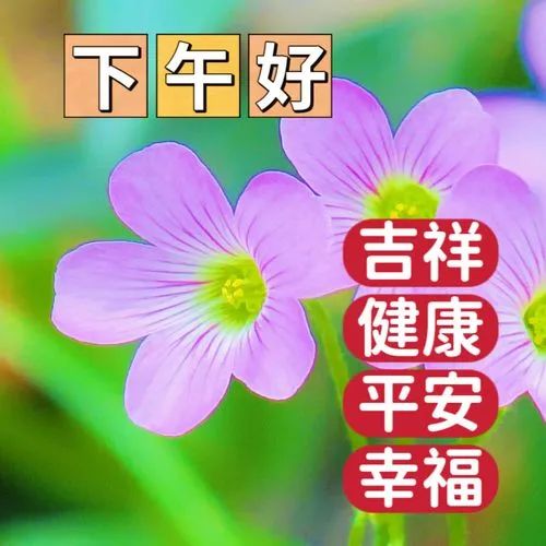 下午好
