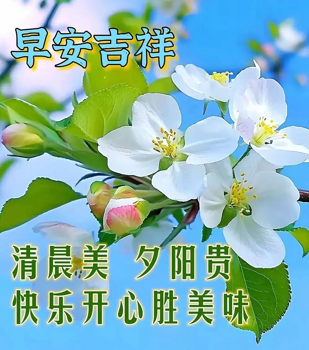 早安,早上好,上午好