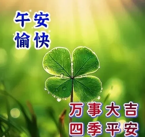 中午好,午安