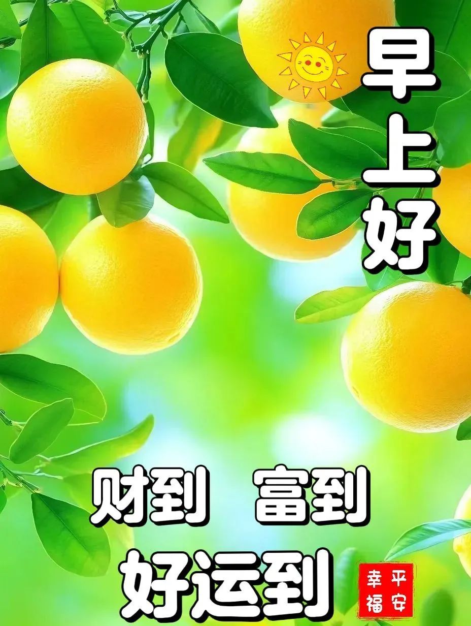 早安,早上好,上午好
