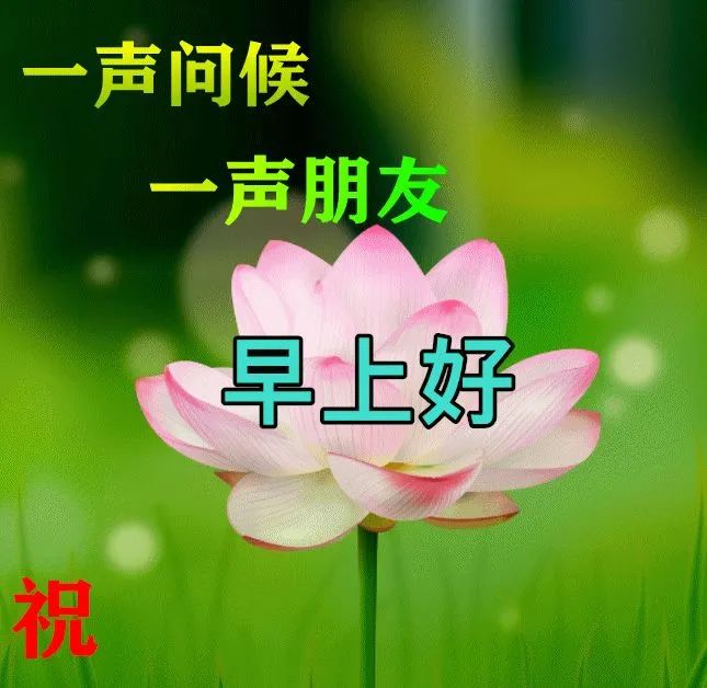 早安,早上好,上午好