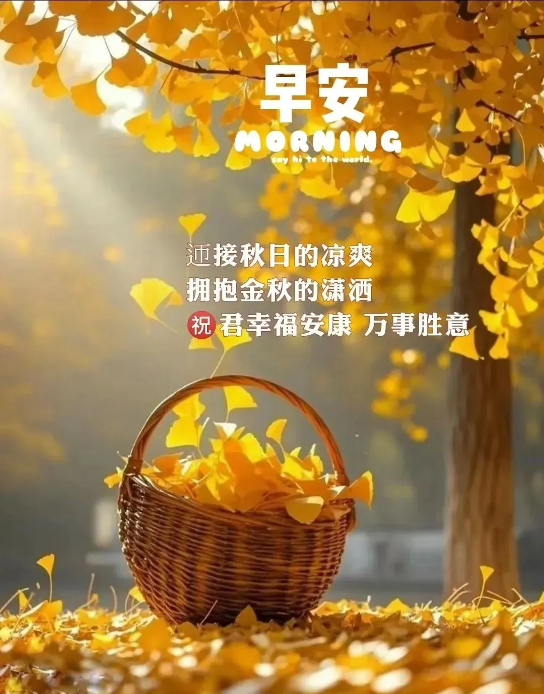 早安,早上好,上午好