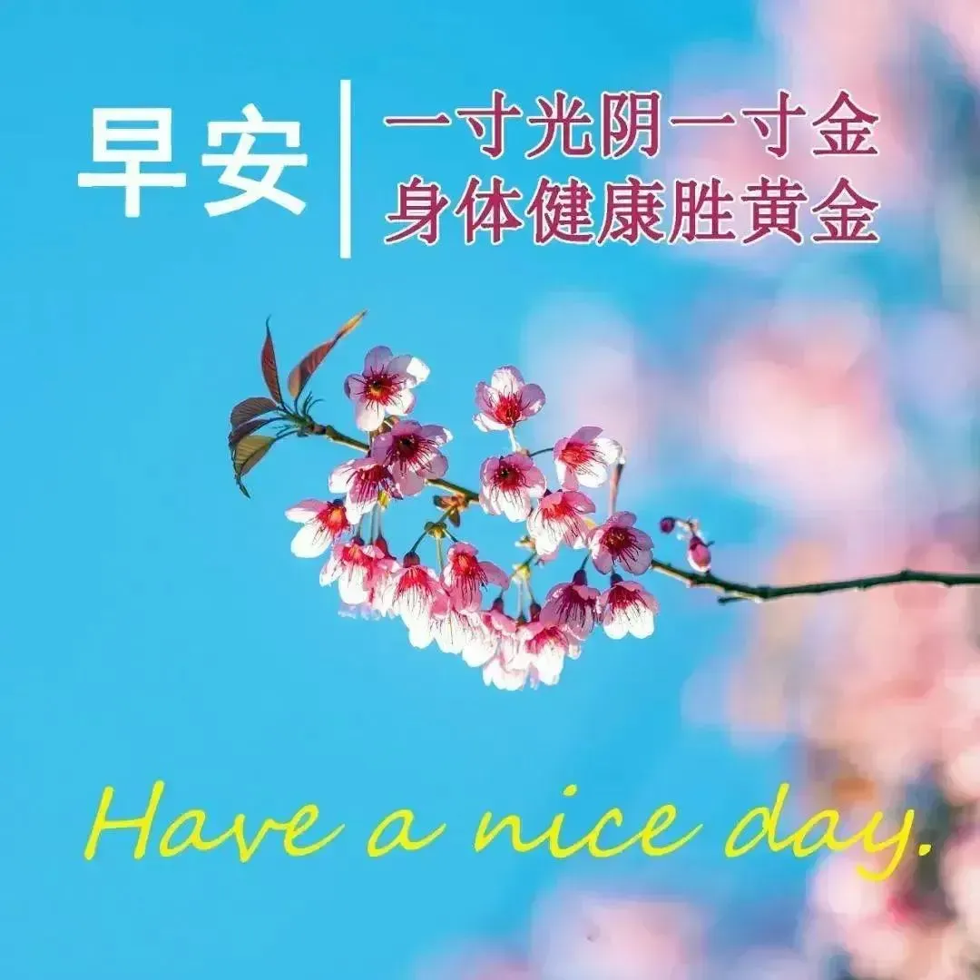 早安,早上好,上午好