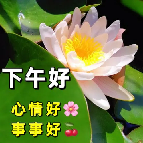 下午好
