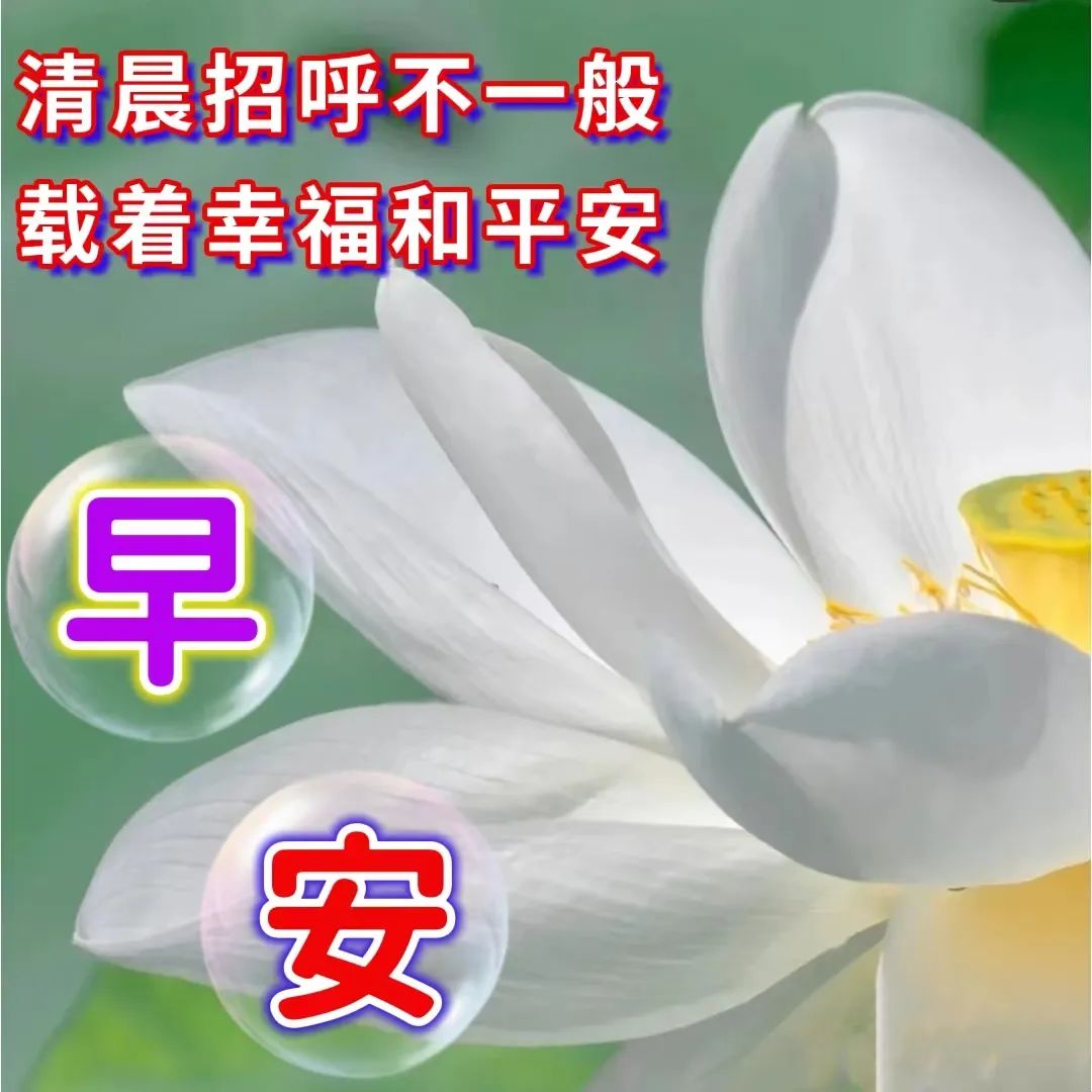 早安,早上好,上午好