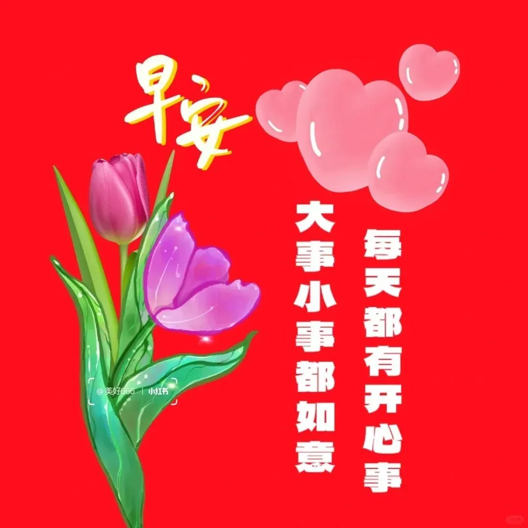 早安,早上好,上午好