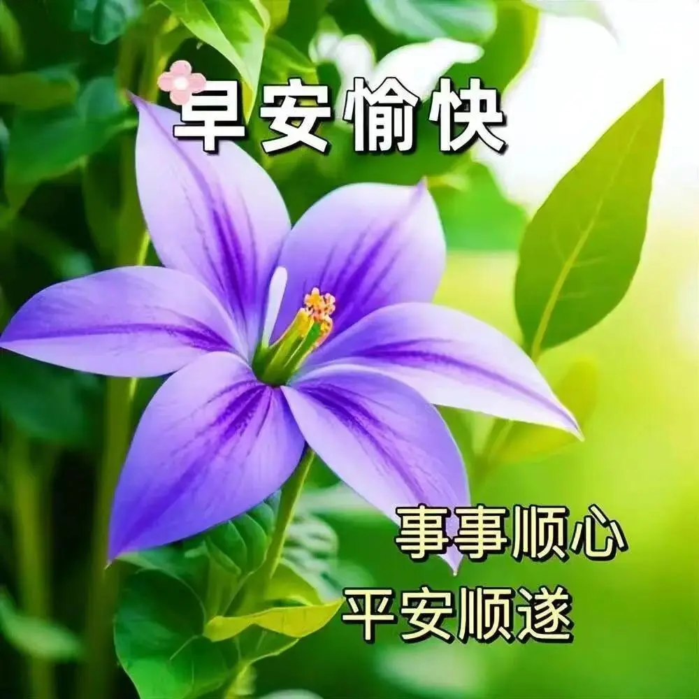 早安,早上好,上午好