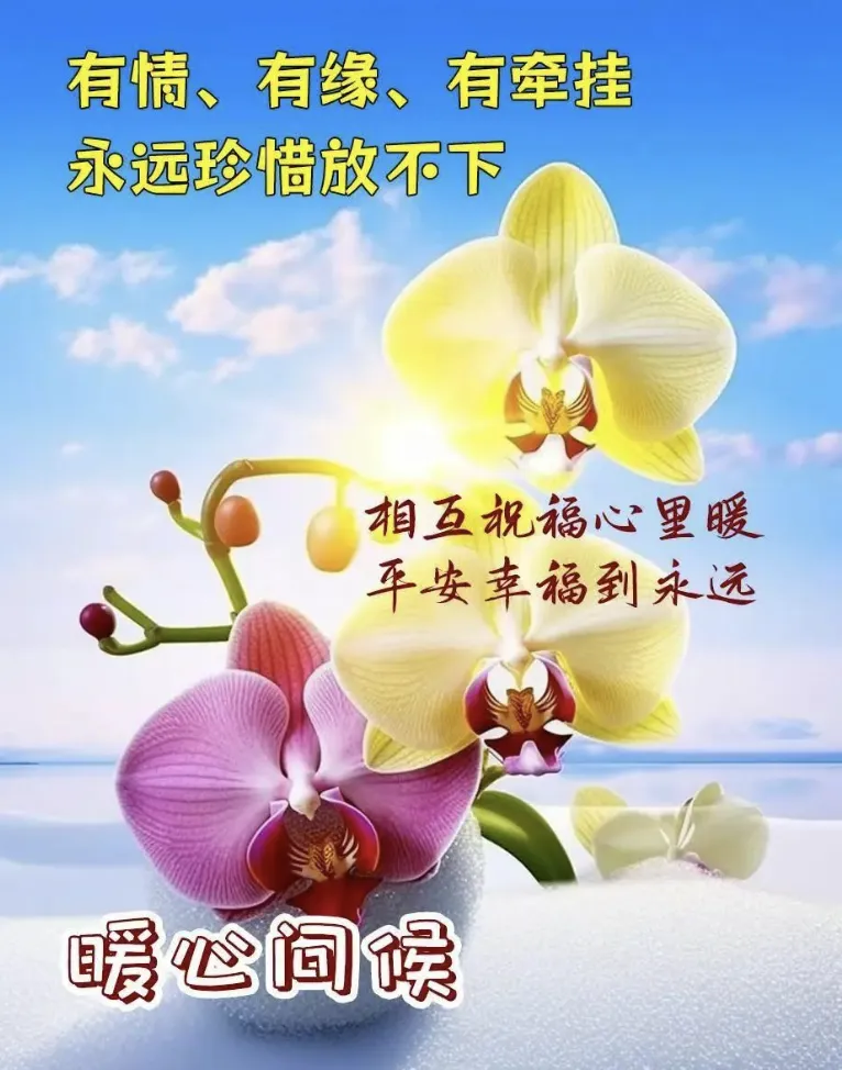 上午好