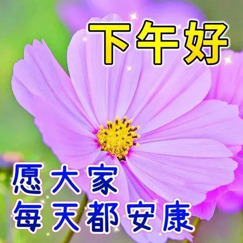 下午好简单最新祝福语，祝您享受生活心情大好！下午好！