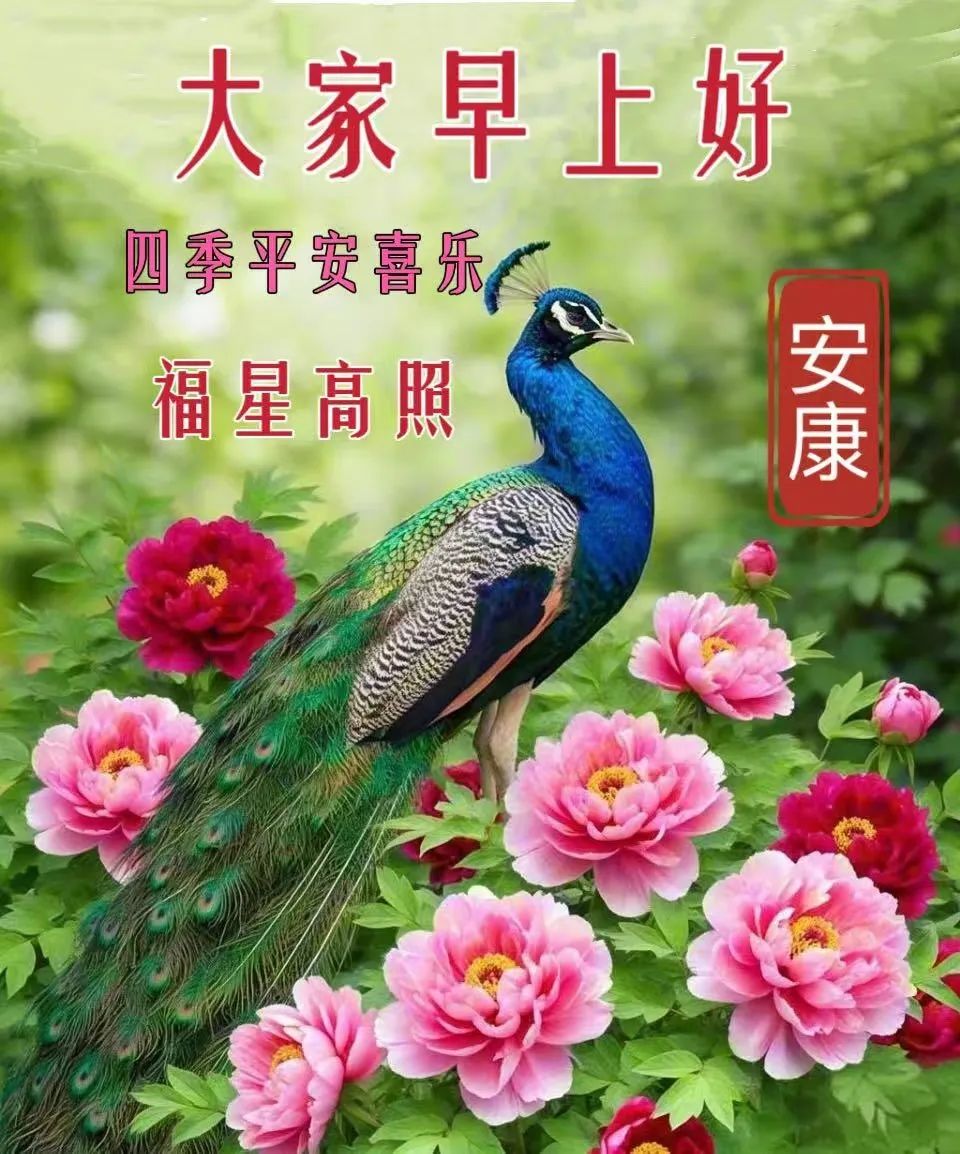 早安,早上好,上午好
